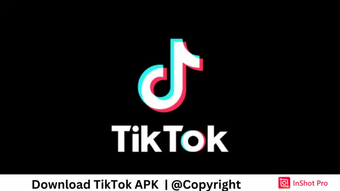 Download TikTok APK