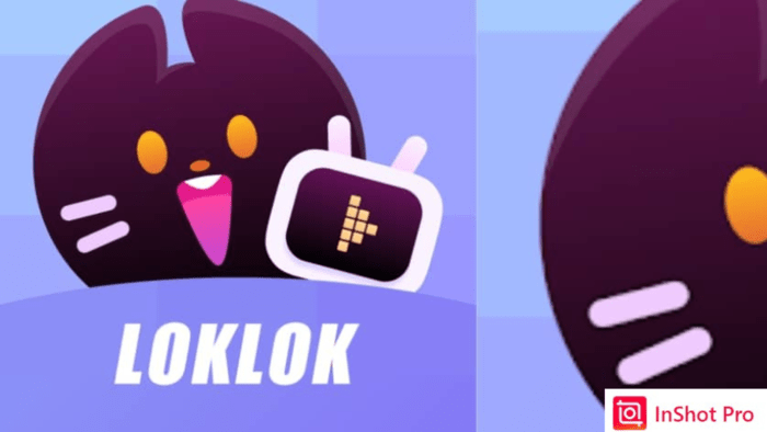 Loklok APK