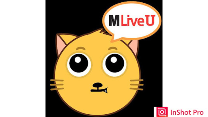 MLive Unlock Room APK