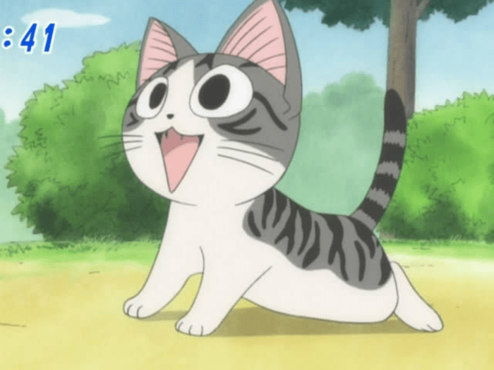 Chi's Sweet Home