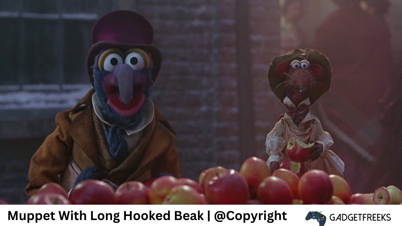 Muppet With Long Hooked Beak 