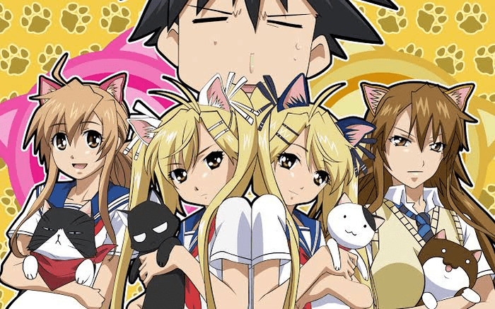 Nyan Koi!