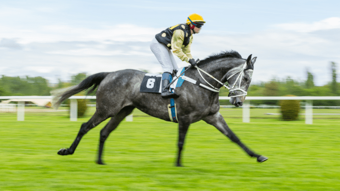 Digital Revolution in Horse Racing Betting