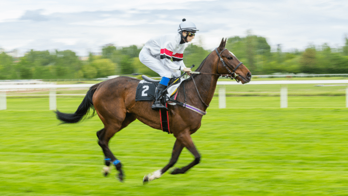 What Betting Options Does Gazettedupmu2 Offer