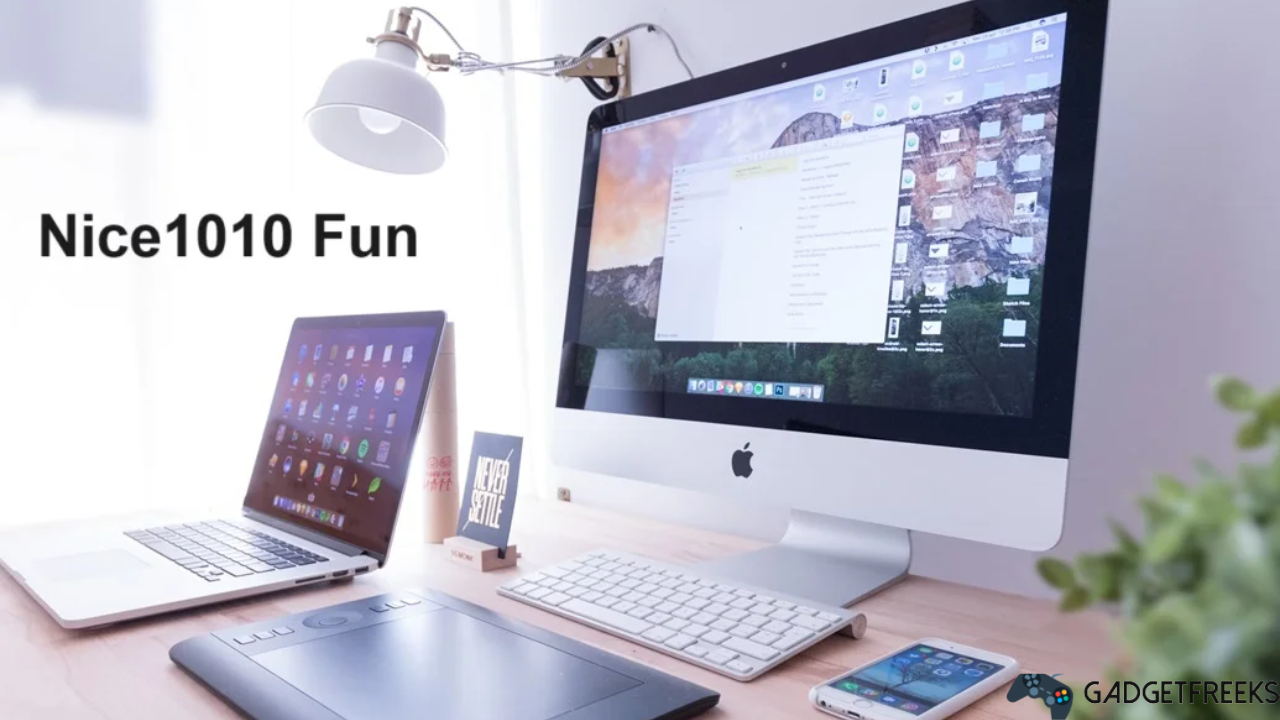What is Nice1010 Fun