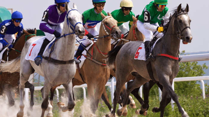 What to Look For In Races